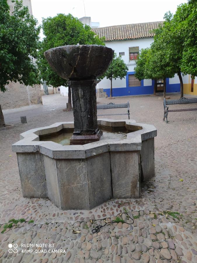 Alojamiento Casa Tipica De コルドバ エクステリア 写真