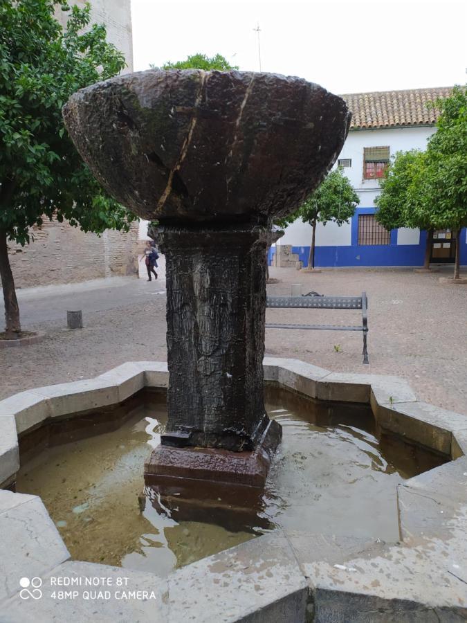 Alojamiento Casa Tipica De コルドバ エクステリア 写真