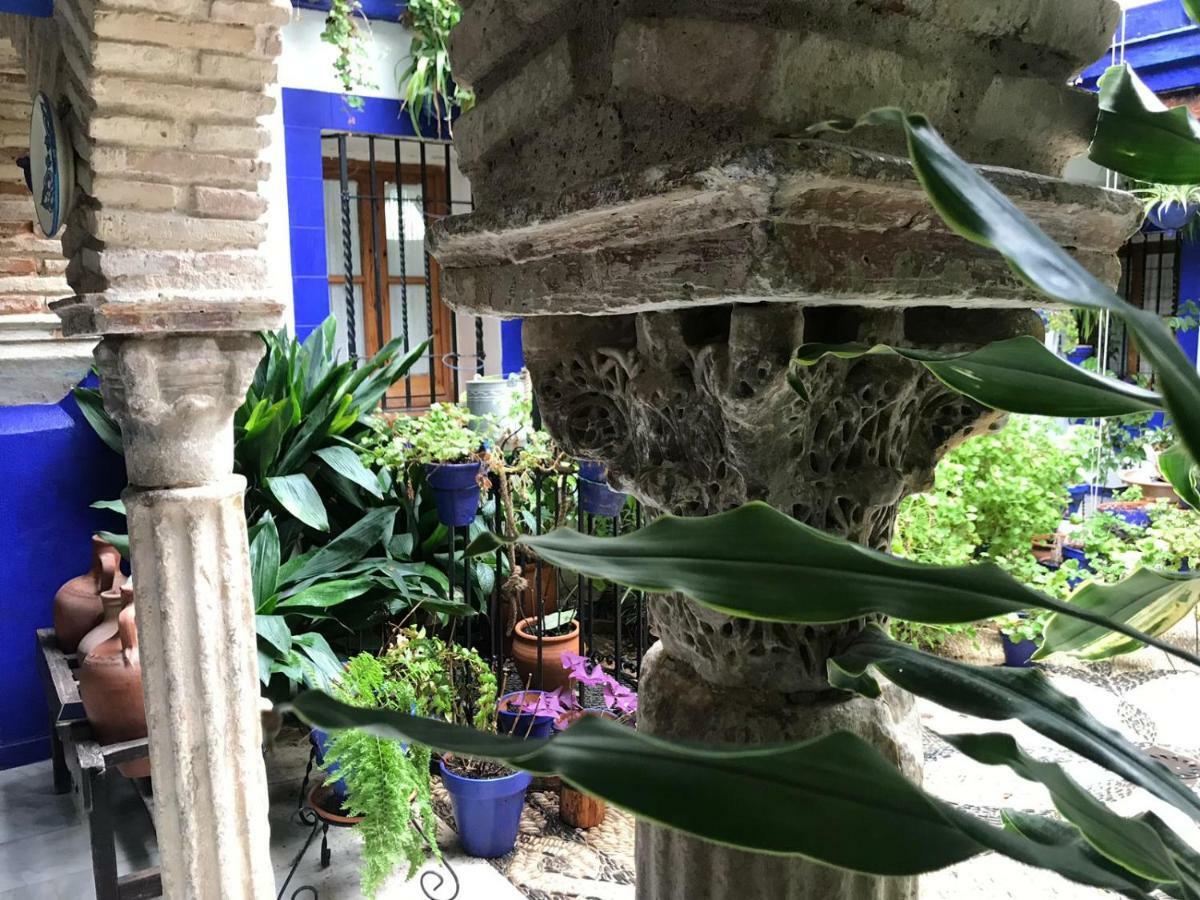 Alojamiento Casa Tipica De コルドバ エクステリア 写真